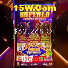 Experiência VIP 017Bet